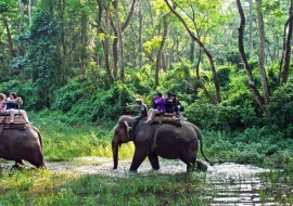Chitwan Jungle Safari Package